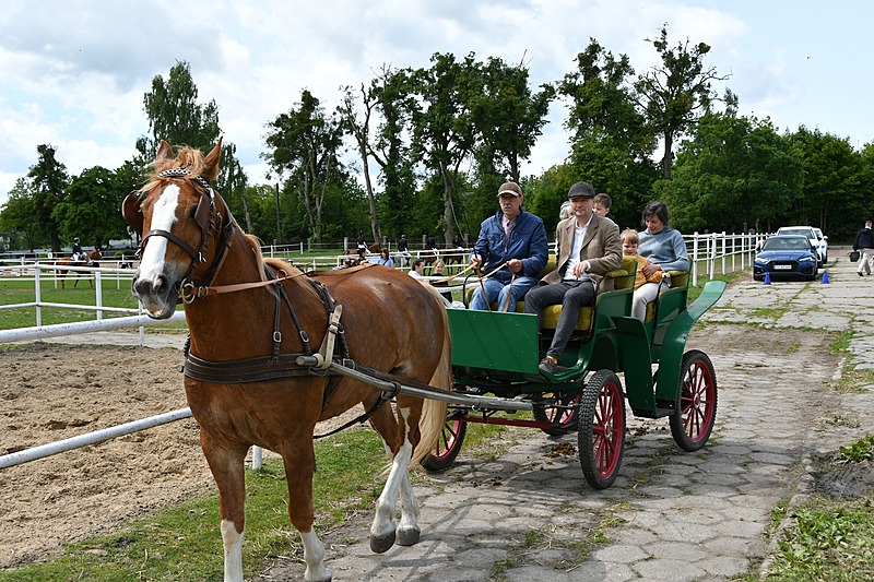 Jazda bryczką